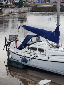 克莱佩达Valkirja的一艘蓝色帆板的白色船,坐在水中