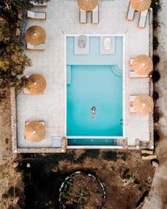 布拉卡阿可体普拉卡酒店的享有带遮阳伞的游泳池的顶部景致
