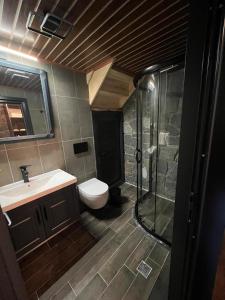 艾德亚耶拉西AYDER VANAK STONE SUİTES的带淋浴、卫生间和盥洗盆的浴室