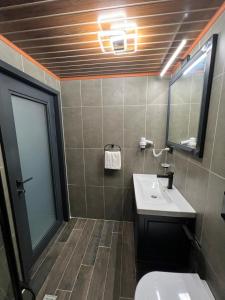 艾德亚耶拉西AYDER VANAK STONE SUİTES的一间带水槽、卫生间和镜子的浴室