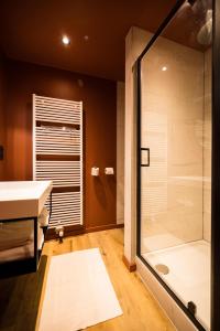 布鲁日Guest House La Civière d'or的带淋浴和盥洗盆的浴室