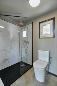 里沃Domki RWL的一间带卫生间和玻璃淋浴间的浴室