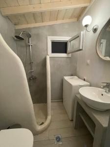 奥林匹亚达Babushka Apartments的带淋浴、盥洗盆和卫生间的浴室