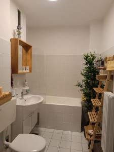 瓦拉日丁Apartman Vervis Varaždin的一间带水槽、浴缸和卫生间的浴室