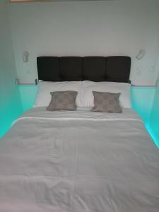 瓦拉日丁Apartman Vervis Varaždin的一张带两个枕头的大白色床