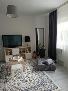 瓦拉日丁Apartman Vervis Varaždin的带沙发和电视的客厅