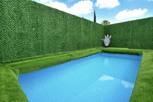 提比里亚Levication 2 bedrooms Pool&jacuzzi的绿色树 ⁇ 前的游泳池