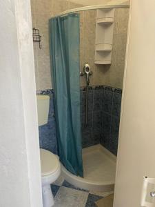 里斯本Beato Typical House的一间带卫生间和淋浴的浴室