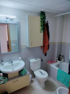 莱斯卡瑟斯-达尔卡纳Villazen的一间带卫生间、水槽和镜子的浴室