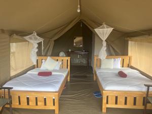 NarokSunset camp的带帐篷的客房内的两张床