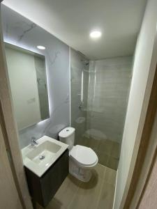 麦德林HOTEL ESTADIO DORADO的浴室配有卫生间、盥洗盆和淋浴。