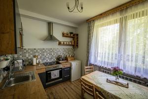 扎科帕内Zacisze Pod Reglami的厨房配有桌子、水槽和窗户