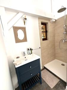 普罗旺斯艾克斯Chambre d'hôtes Cabanon à 10 min d'Aix-en-Provence的浴室配有蓝色水槽和淋浴。