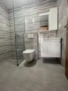 斯特鲁加Hotel Majestic的一间带卫生间和水槽的浴室