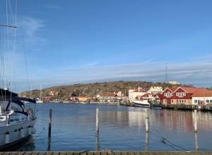 BjörköHamnhuset Björkö的船停靠在港口,有房子