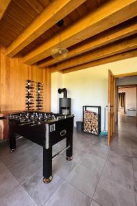 多尔尼莫拉瓦Chata Viola的带壁炉的客房内的乒乓球桌