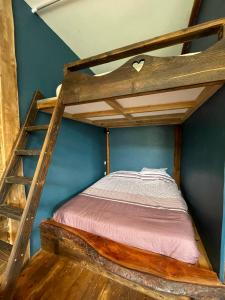 LathuilleLe refuge de Chaparon的带梯子的客房内的一张木制双层床