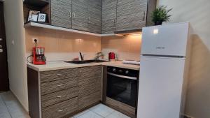 拉米亚Stylish studio - Your private place in Lamia的一间带冰箱和水槽的小厨房