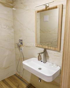 瓦赫河畔比斯特里察Hotel Garni的一间带水槽和镜子的浴室
