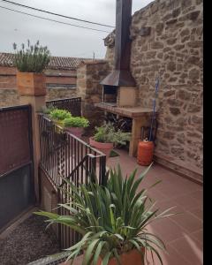 Ossó de SióCal Emilia的一个带烧烤架和一些植物的庭院