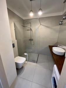 格但斯克Przytulna Apartment close to the airport and PKM的浴室配有卫生间、盥洗盆和淋浴。