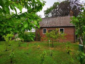 WijsterTrekkershut - Tiny House - Hikers cottage的砖屋前的花园