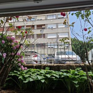 萨格勒布Apartman Maksimirska 89 Zagreb的从鲜花盛开的花园欣赏到建筑的景色