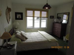 Boutiliers PointC-Scape的一间卧室配有床、窗户和梳妆台