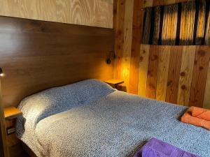 圣马丁德洛斯Cabaña de Montaña的一间卧室配有一张木墙床