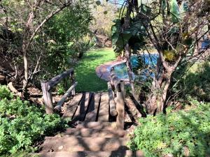 布拉瓦约Twin bed lodge on natural African bush - 2111的通往树木路径的木楼梯