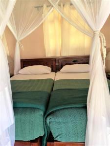 布拉瓦约Double lodge on natural African bush - 2112的两张带绿色和白色床单及窗帘的床
