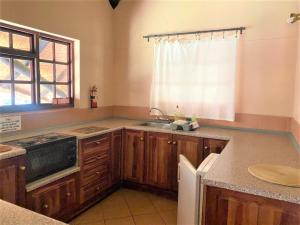 布拉瓦约Family Lodge in Natural African bush - 2113的厨房配有木制橱柜、水槽和窗户。