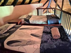 布拉瓦约Family Lodge in Natural African bush - 2113的一间客房内配有两张床的房间