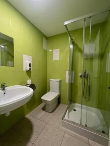 比拉尔瓦ALBERGUE CASTELOS VILALBA的一间带水槽、卫生间和淋浴的浴室