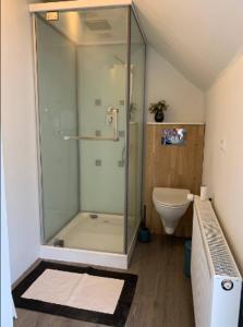 斯科平Rebild Skovhuse的一间带玻璃淋浴和卫生间的浴室