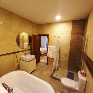 卢克索Ali Luxury Villa的一间带水槽、卫生间和淋浴的浴室