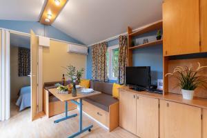 耶尔La Doucette, mobil-home climatisé au cœur du vignoble et à 50m de la mer的客厅配有书桌和电视。