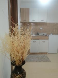 乌尔齐尼Dizara Apartman's的一间厨房,里面装有植物花瓶