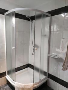 波德戈里察安拜塞多酒店的浴室内带玻璃淋浴间