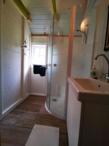 WijsterTrekkershut - Tiny House - Hikers cottage的带淋浴和盥洗盆的浴室