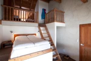 拉萨尔莱阿尔佩兰利老农庄酒店的一间卧室设有两张双层床和梯子