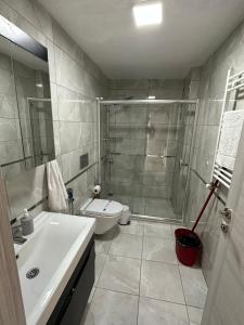 Nilüferبورصة شقة مريحة Bursa Nilufer مَنْظَرٌ جَمِيلٌ的带淋浴、卫生间和盥洗盆的浴室