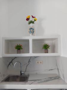 阿吉奥斯普罗科皮奥斯克里马塔利亚公寓的厨房配有水槽和两个鲜花架子