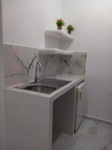 阿吉奥斯普罗科皮奥斯克里马塔利亚公寓的白色的厨房,配有水槽和两盆植物
