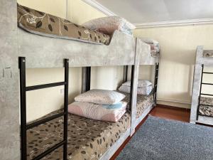 卡拉科尔The Nest Hostel的小型客房配有两张双层床,