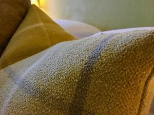 多切斯特韦斯特伍德旅馆的沙发上贴着毯子