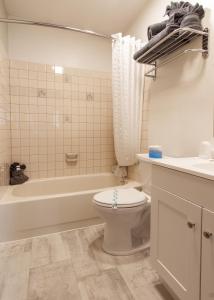 帕尔默先锋汽车旅馆的浴室配有卫生间、浴缸和水槽。