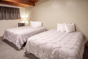 帕尔默先锋汽车旅馆的一间卧室设有两张带白色床单的床和窗户。