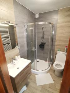 斯罗姆韦斯尼Noclegi na Wygonie的带淋浴、盥洗盆和卫生间的浴室
