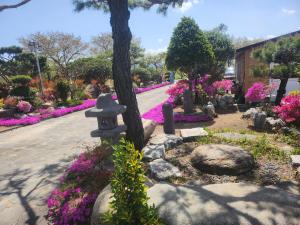 庆州Seoak Stay的种着粉红色花卉和一棵树的花园